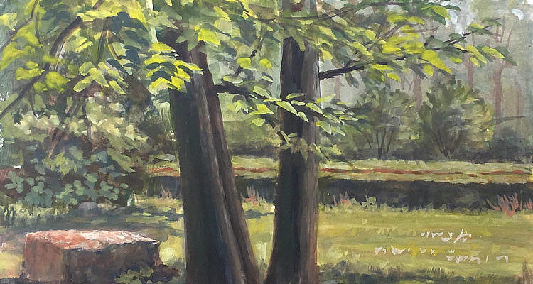 Past Workshops: Plein Air Landscapes in Gouache, Talley Day Park, June 2018 (Jester Artspace)