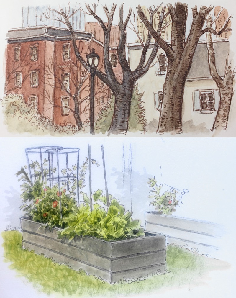 Capturing the Moment – The Joy of Ink & Watercolor Sketching, Wallingford, PA CAC, 9/16/26 to 10/21/26